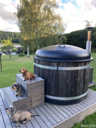 Säkerheten först när det handlar om hundar och barn | Kirami