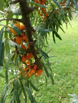 Hösten tar med sig färgerna till skogen! | Kirami﻿