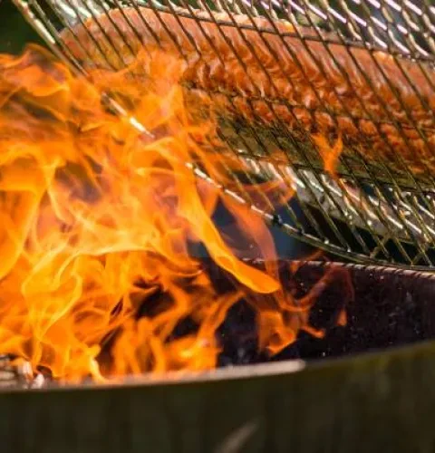 Roasy-Boss en hållbar grill för flera användningsområden | Kirami