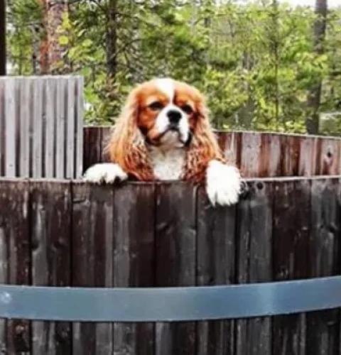 Återvinn din badtunna rätt |Kirami