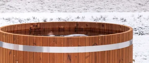 Woody Original dippy